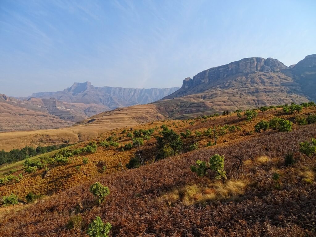 Drakensberg cliffs above fern-covered slopes in Royal Natal National Park, seen from Thendele camp