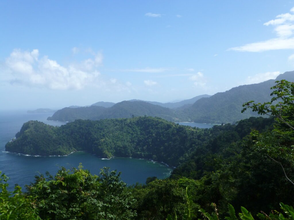Maracas Bay and the forested hills of Trinidad's north coast, seen from the Maracas lookout