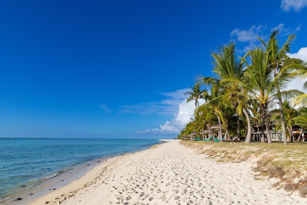 Le Morne beach in Mauritius, white sand and coconut palms