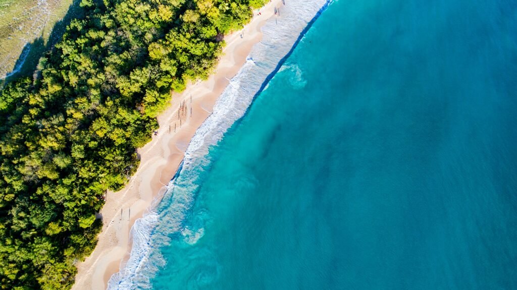 Vue aérienne de la Grande Anse des Salines, en Martinique, entre forêt côtière et mer turquoise