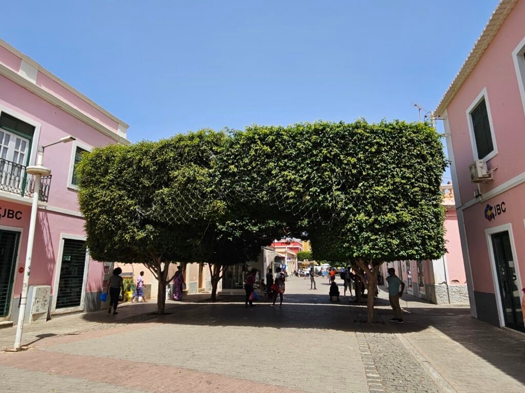 Rue piétonne du Plateau, à Praia, bordée de maisons aux façades roses et d'arbres taillés en voûte