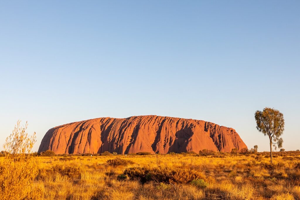 Uluru au coucher du soleil, au-dessus de la savane du parc national d'Uluru-Kata Tjuta, dans le Territoire du Nord en Australie
